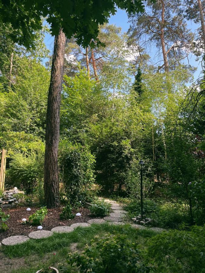 Mimi'S Natuurhuisje Lanaken Exterior foto